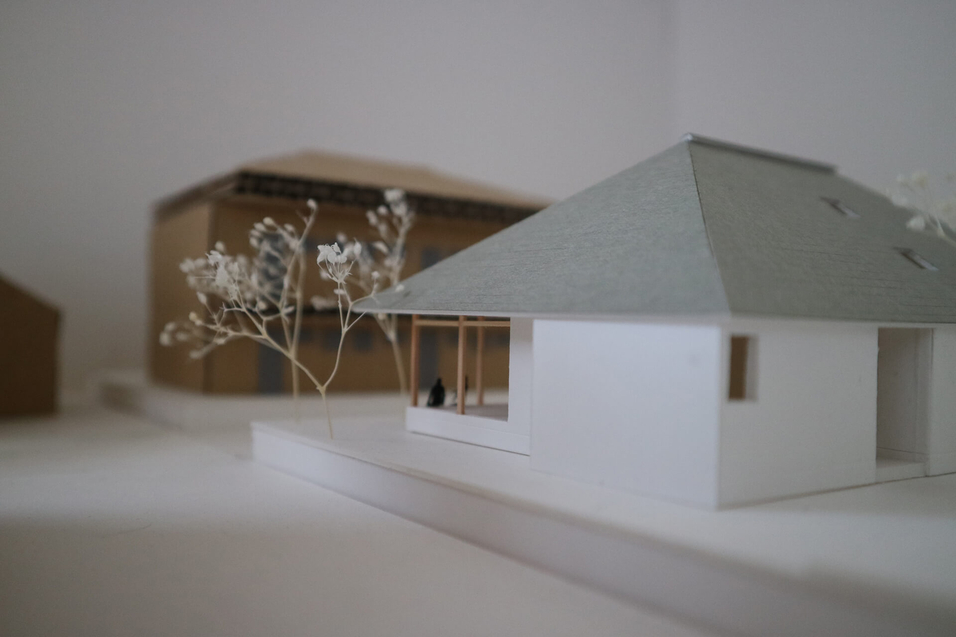 風景をつなぐ住まいの画像