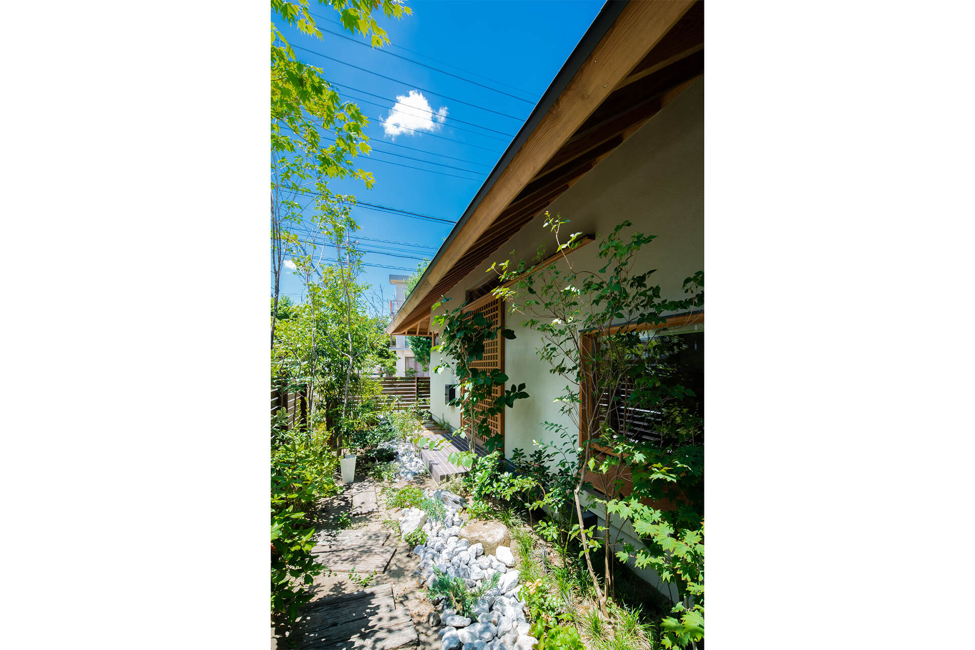 垂木の平屋の画像